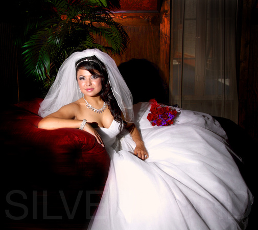 Bridal photography + Barclay Villa + wedding photography Angier NC