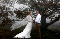 Asheville, Craggy Gardens mountain wedding photography with A&K-9