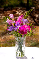 Chapel Hill Wedding photography backyard wedding photographer Oak Leaf restaurant silvercord event photography-2