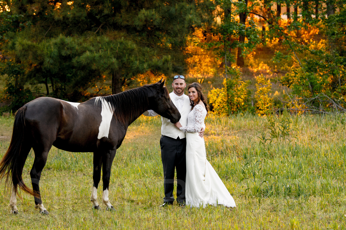 Clinton NC wedding photography portrait with a horse