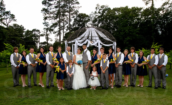 ENTIRE WEDDING PARTY GROUP FORMAL PORTRAIT