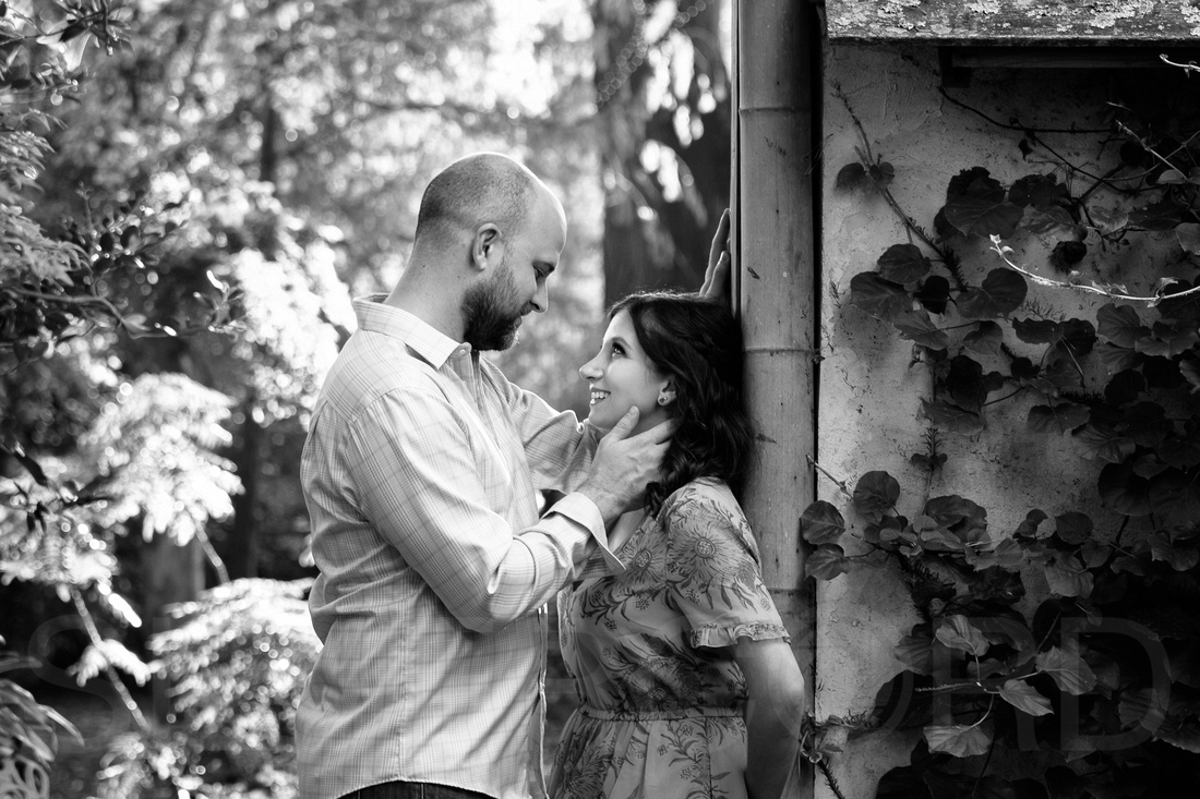 Engagement photography at JC Raulston Arboretum in Raleigh by Silvercord Event Photography-4