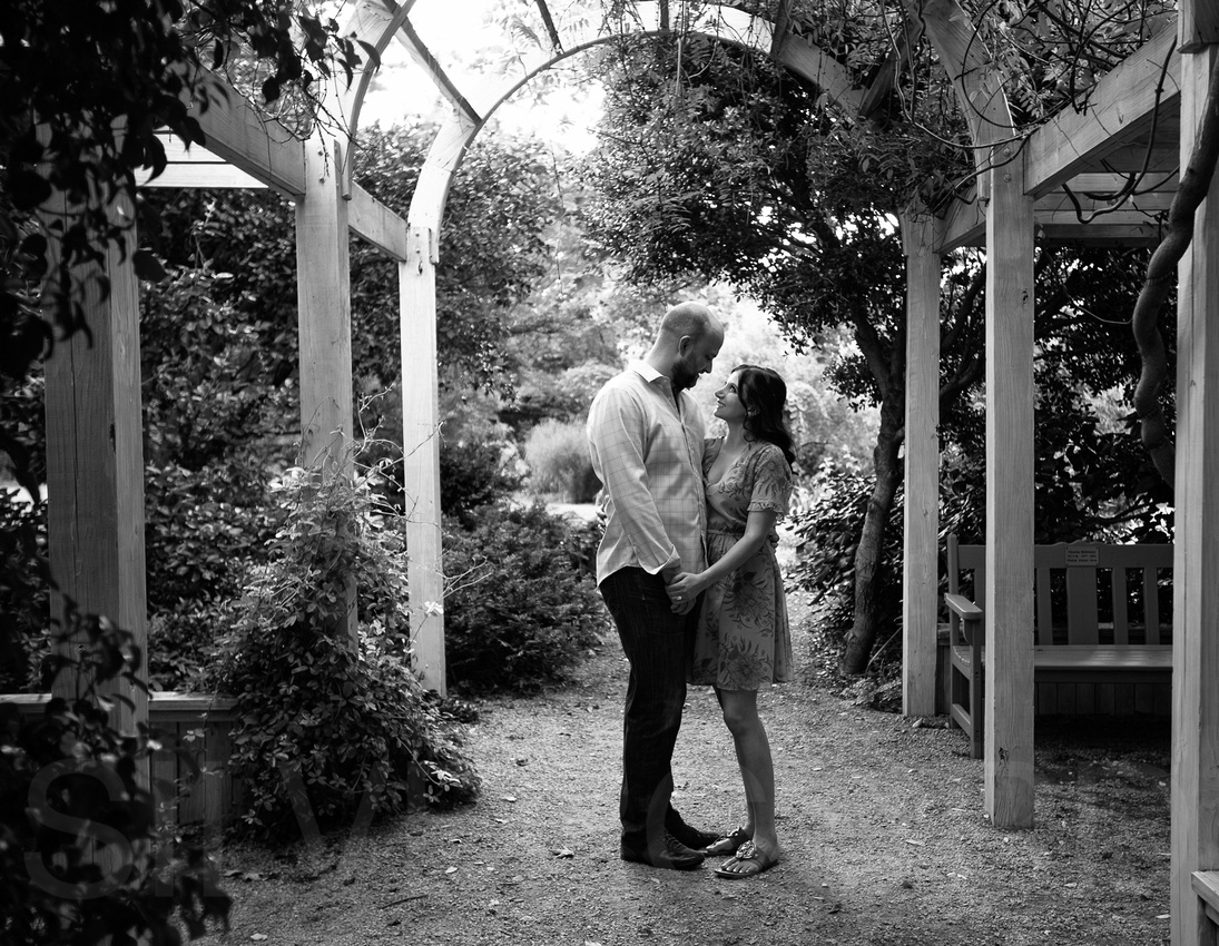 Engagement photography at JC Raulston Arboretum in Raleigh by Silvercord Event Photography-22