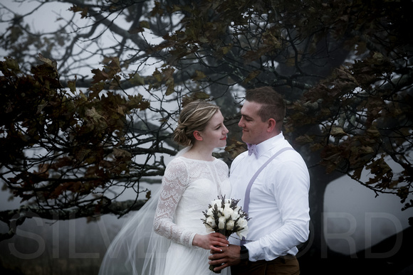 Asheville, Craggy Gardens mountain wedding photography with A&K-11