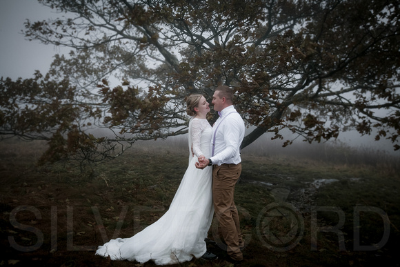 Asheville, Craggy Gardens mountain wedding photography with A&K-17