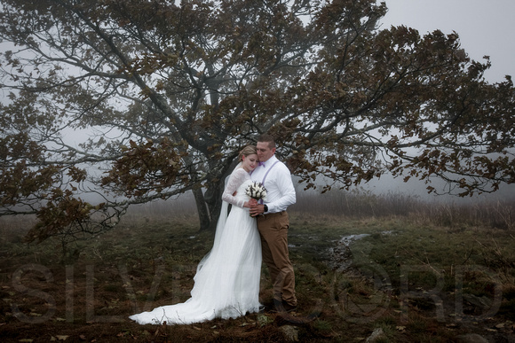 Asheville, Craggy Gardens mountain wedding photography with A&K-10