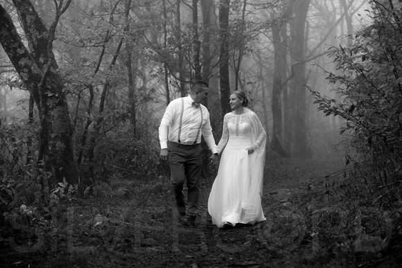Asheville, Craggy Gardens mountain wedding photography with A&K-32