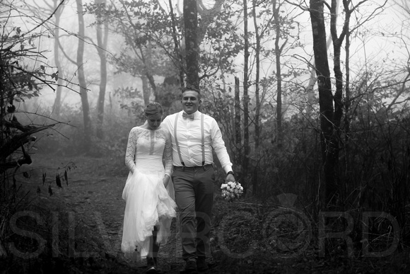 Asheville, Craggy Gardens mountain wedding photography with A&K-45