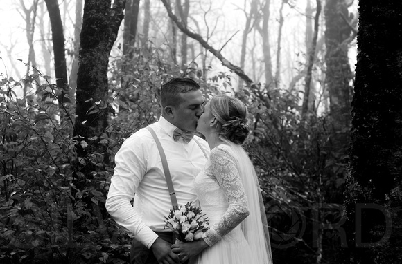 Asheville, Craggy Gardens mountain wedding photography with A&K-49
