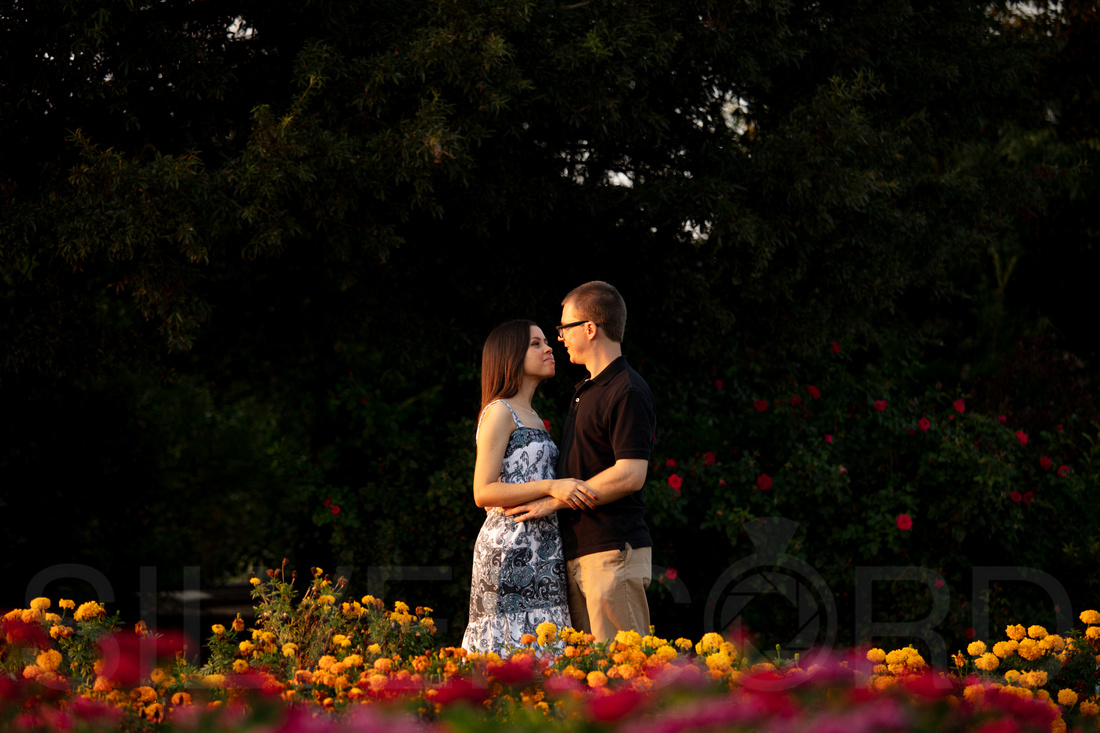 JC Raulston Arboretum Raleigh engagement photography outdoor wedding photographer N.C.-26