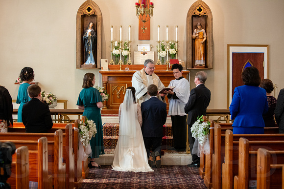 Dunn, Durham, Raleigh Wedding photography JC Raulston Arboretum, Maggiano's, Sacred Heart Catholic Church wedding photography-28