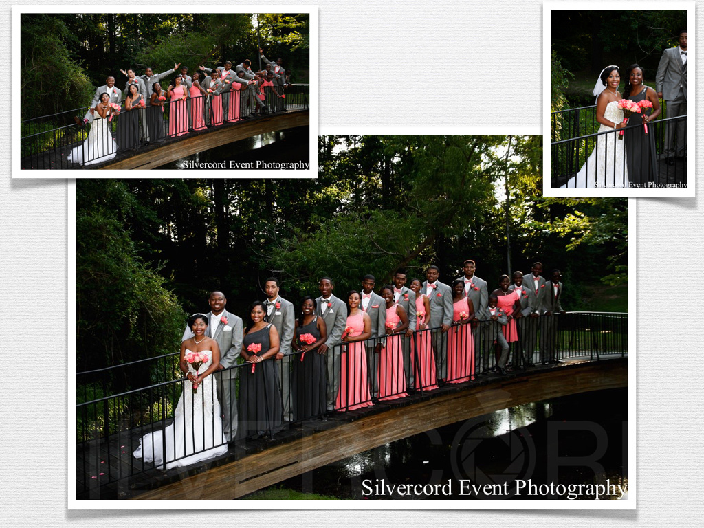Vizcaya Villa wedding party group portrait captured on location by the Fayetteville wedding photographer
