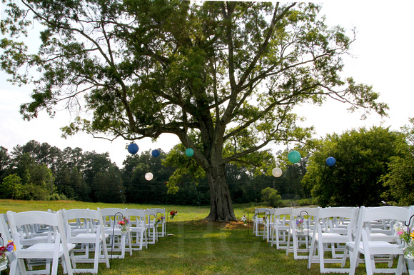 Wedding photography + Snipes farm Retreat + Chapel Hill NC + Raleigh NC + under the big tree wedding
